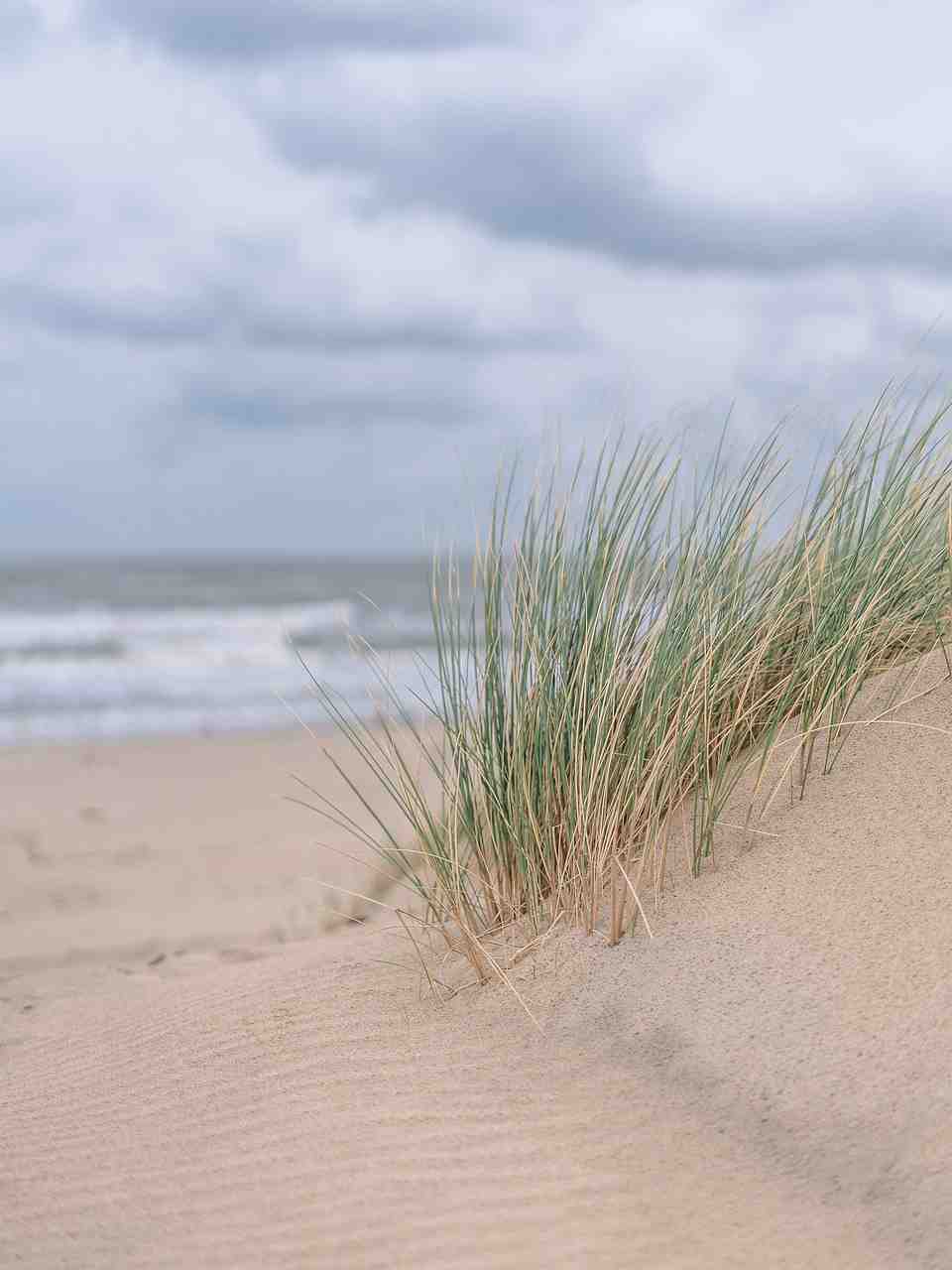 dune, sable, mer